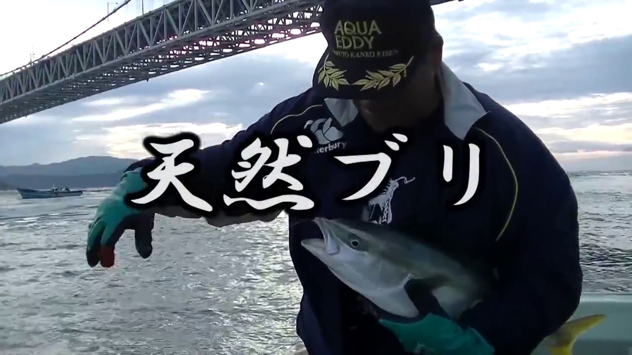 鳴門海峡一本釣り天然ブリ 4 1