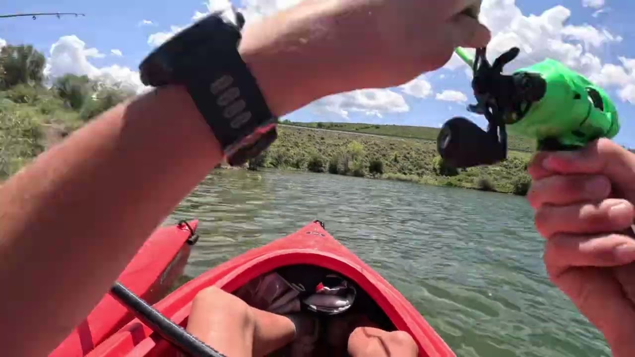 Smallmouth fishing at east canyon reservoir #fishing #bassfishing #smallmouthbass #fishingislife 