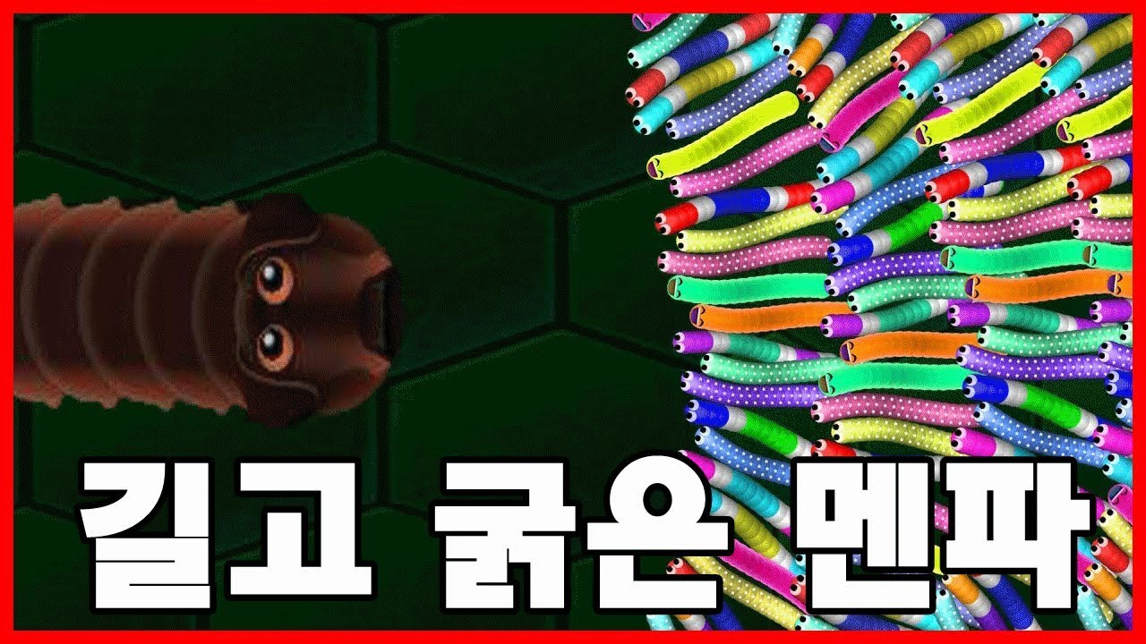 세계에서 가장 길고 굵은 지렁이키우기