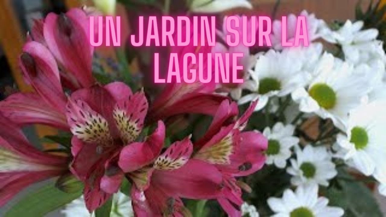 HERMÈS:  UN JARDIN SUR LA LAGUNE.  Un romántico paseo entre árboles y lagos