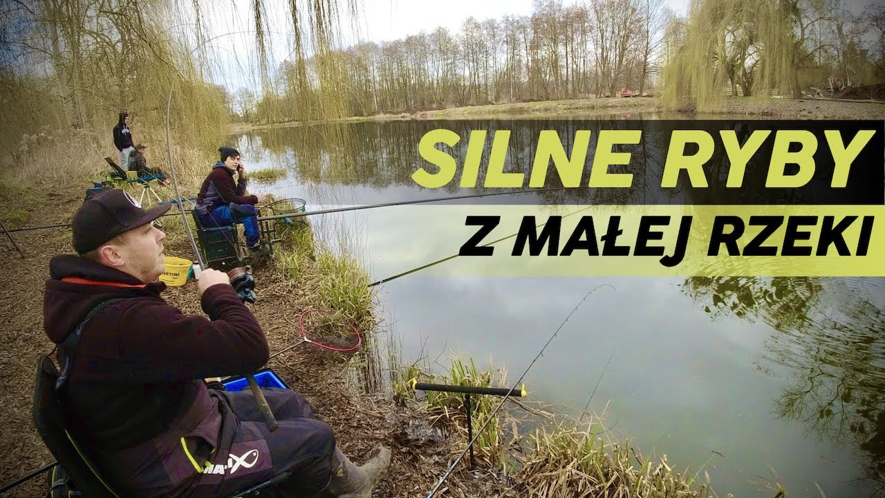 [120] Widawa w Namysłowie. Leszcze na sterydach.💪🏋️‍♂️