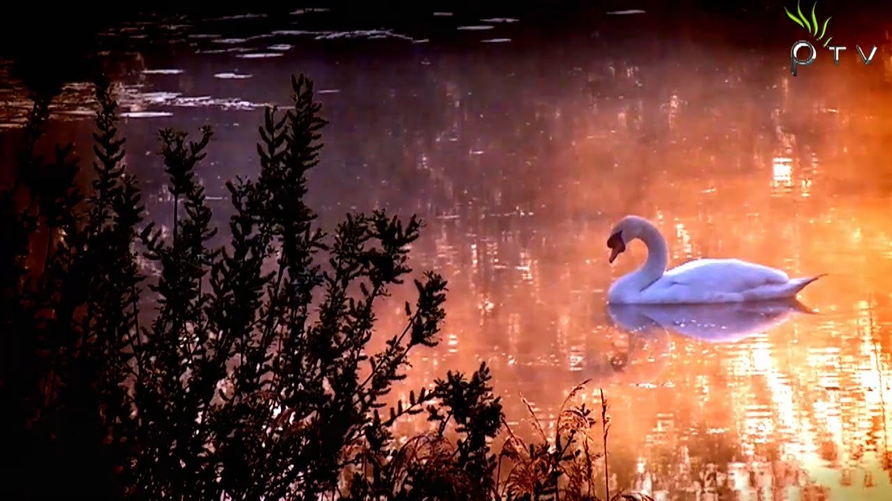 Sound Apparel - The End