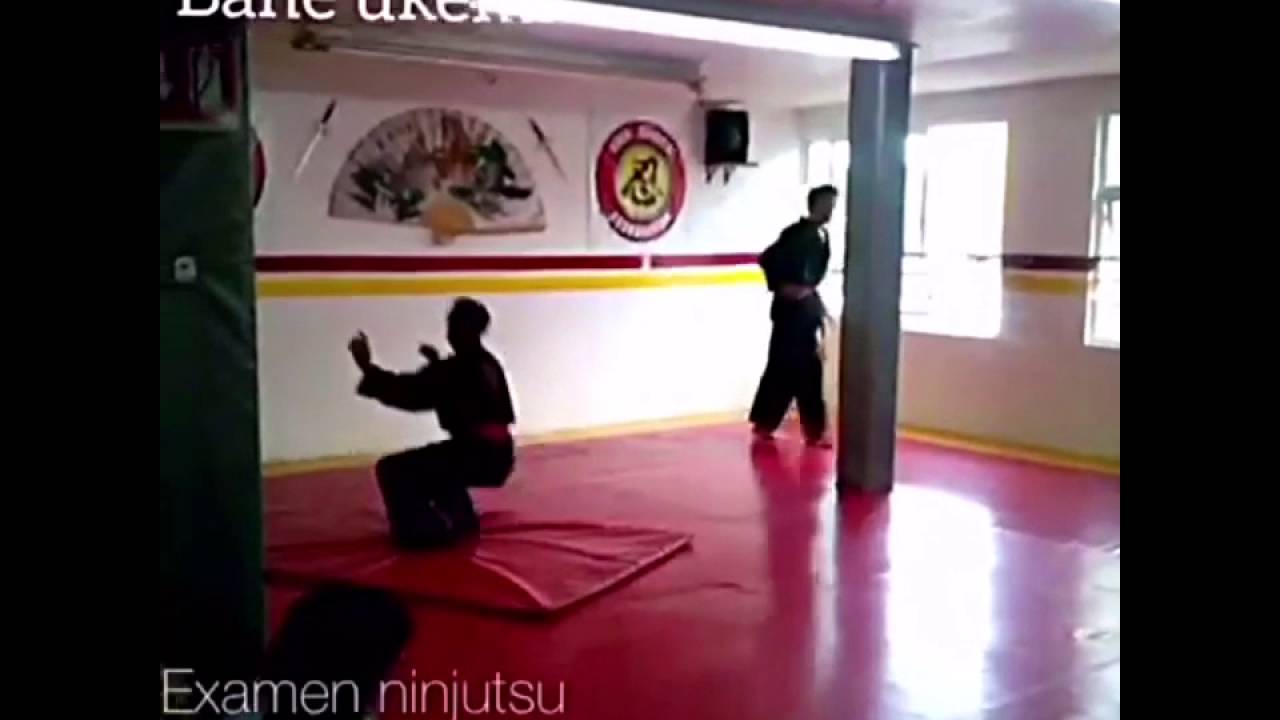 Ninja-koga ryu ninjutsu