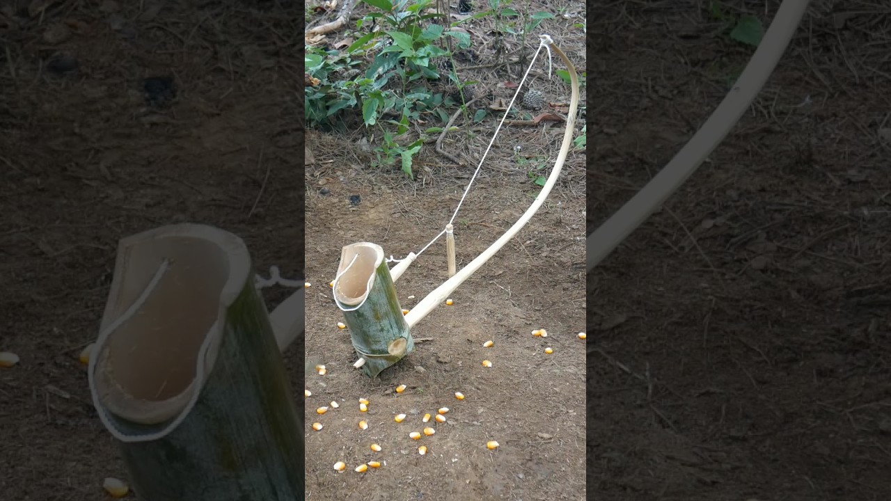 creative bamboo wild chicken trap