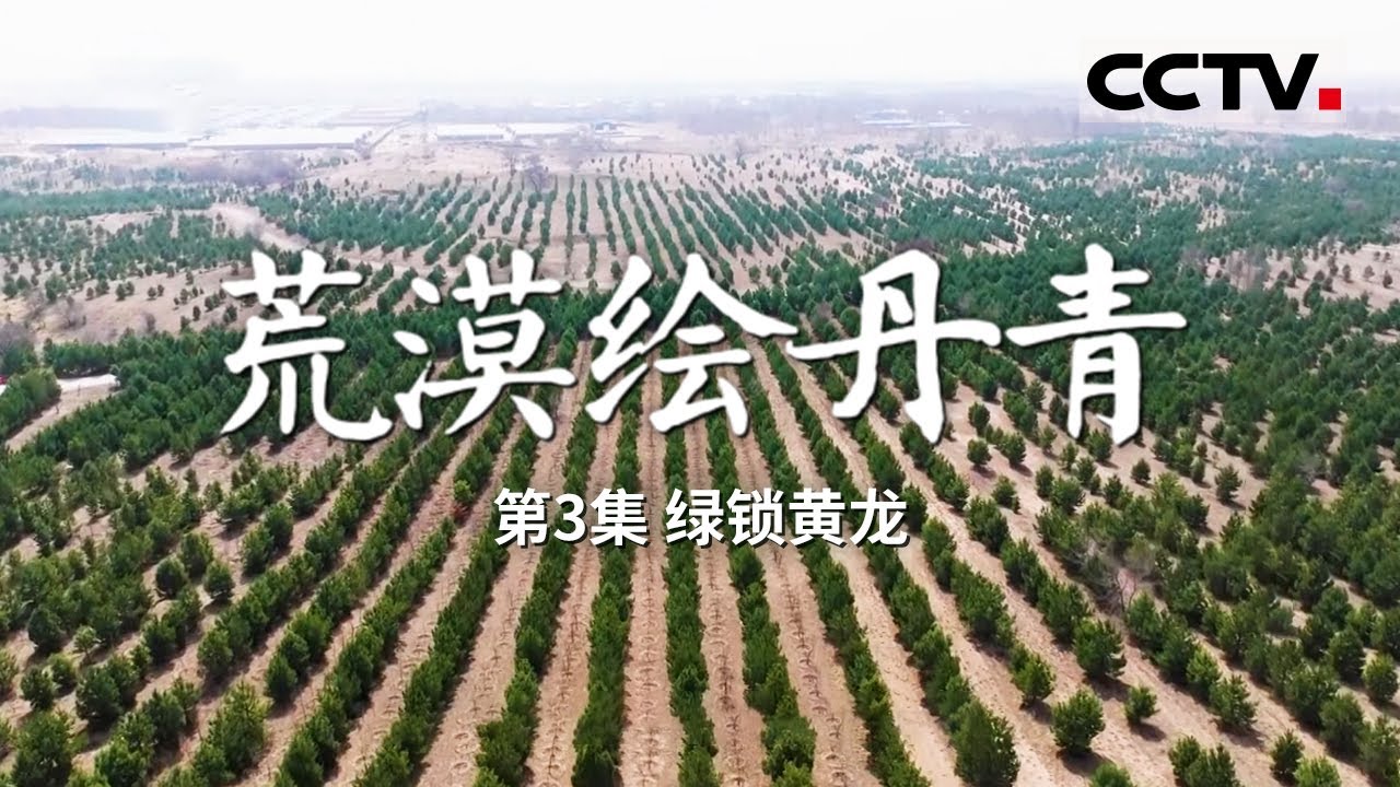 《荒漠绘丹青》 绿锁黄龙：科尔沁与浑善达克沙地的生态逆转 EP03【CCTV纪录】