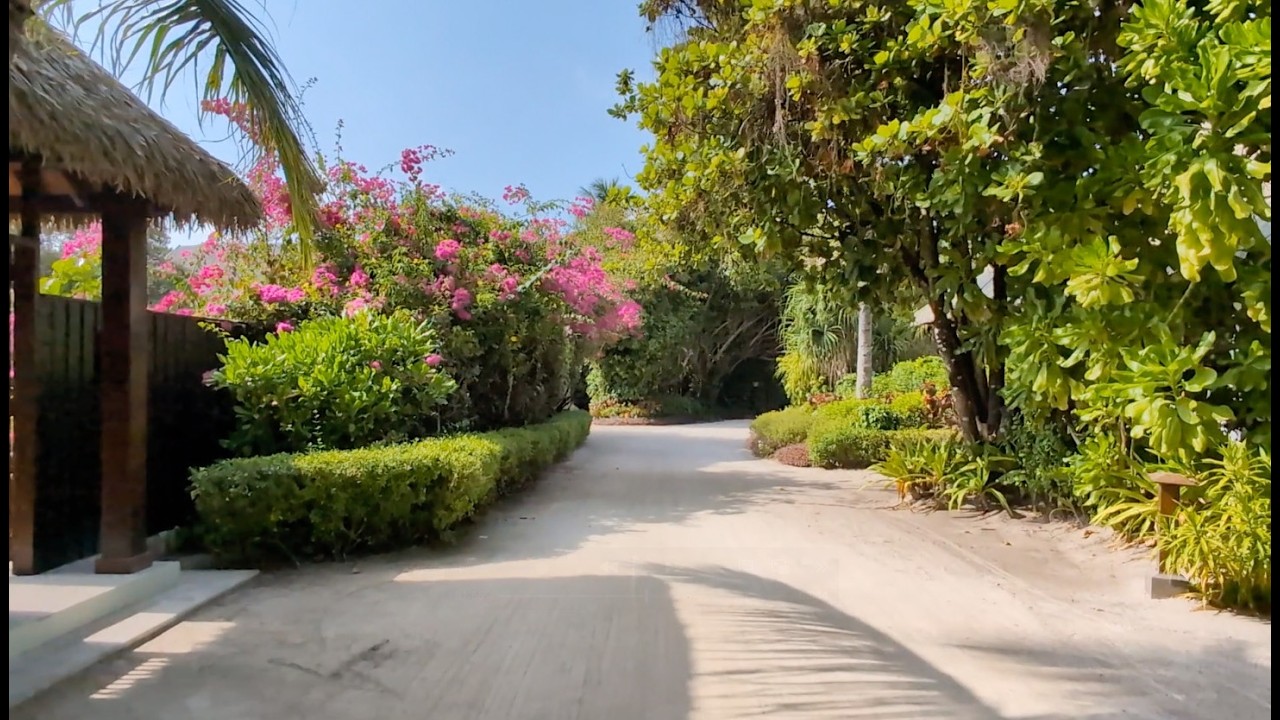 Tropical island paradise - relaxing bicycle ride in the Maldives