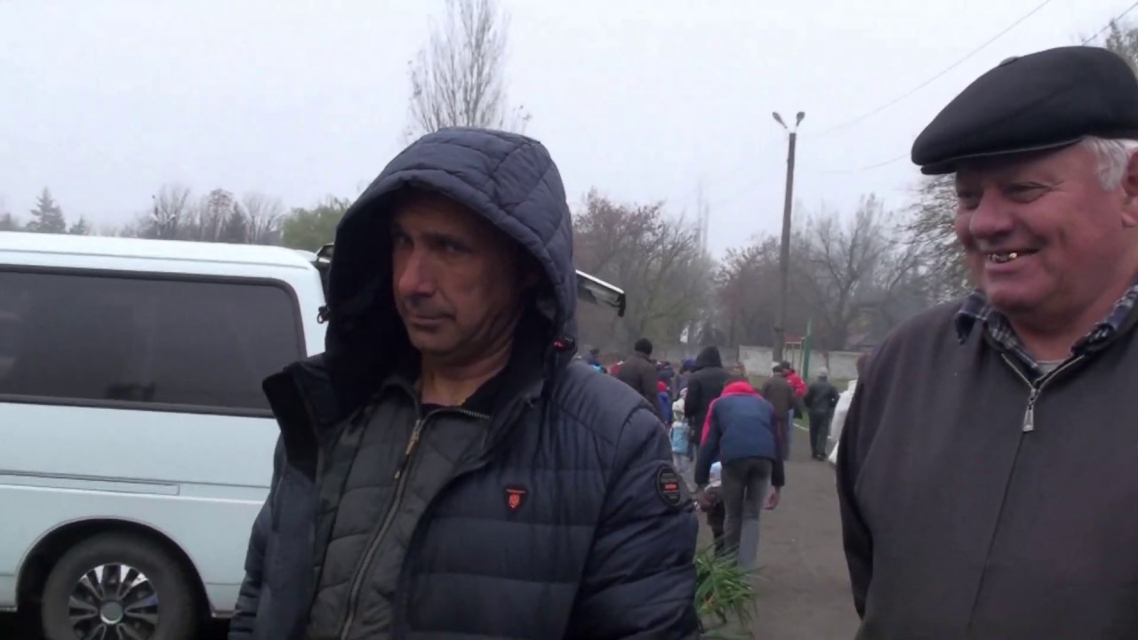 Голуби, которые отличаются от остальных, окончание выставки