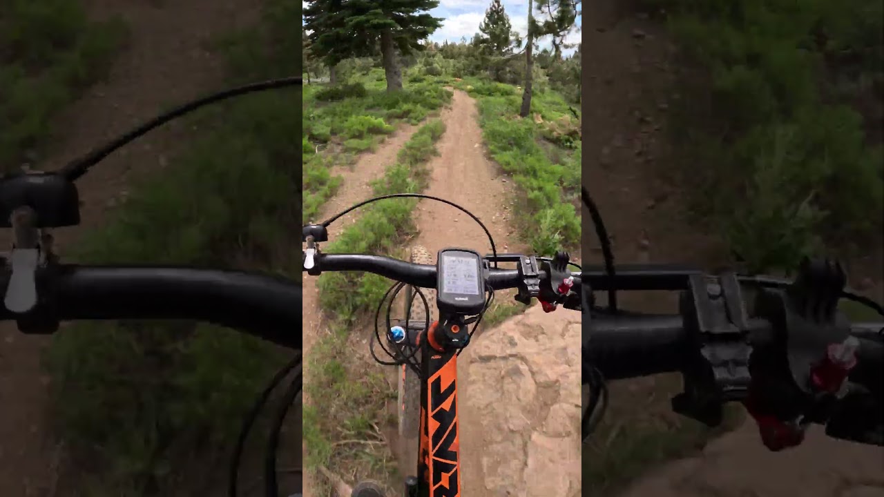 DLRT Lake Tahoe Truckee California Mt. Biking Single Track