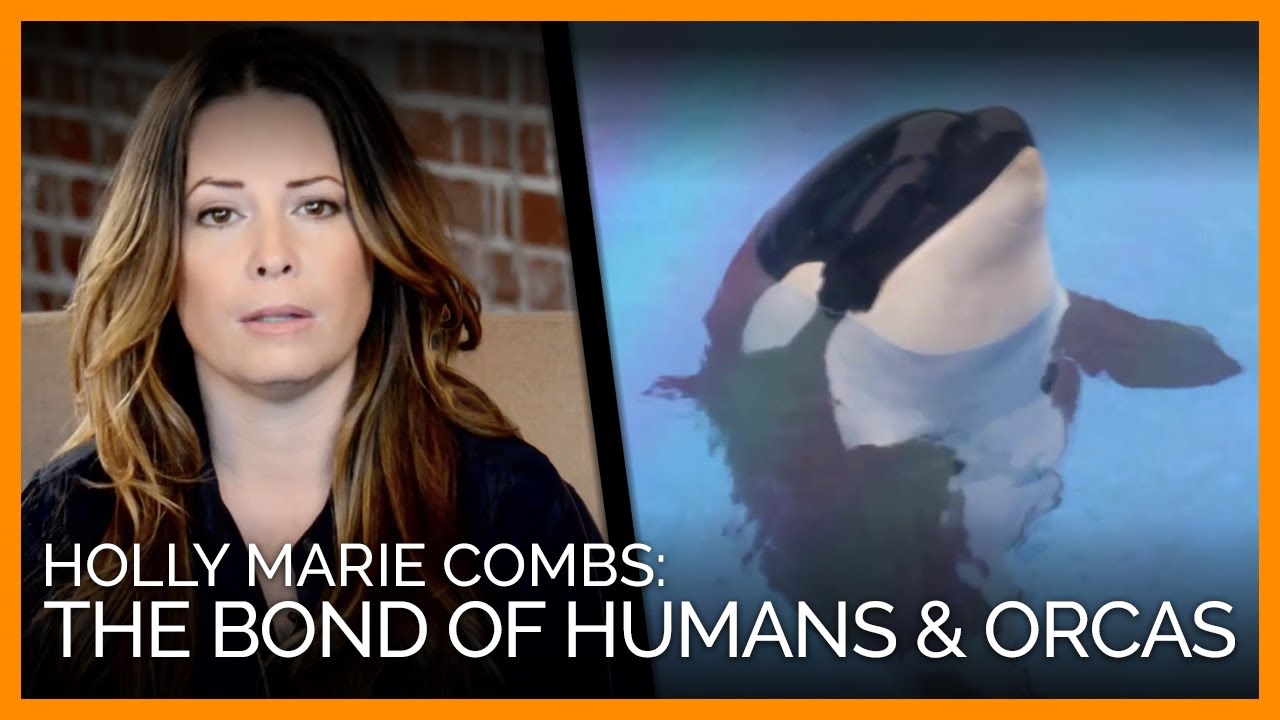 Humans and Orcas Share One Very Special Bond