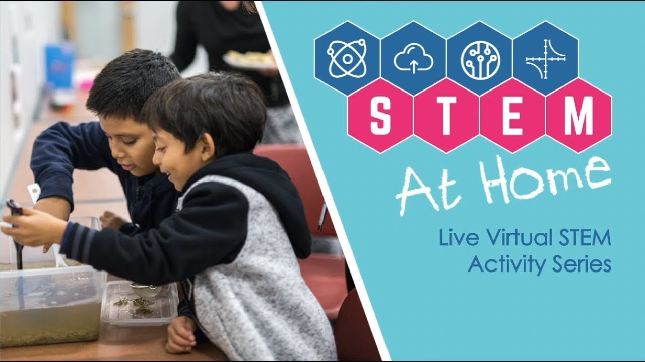 STEM at Home: Citrus Volcanoes!