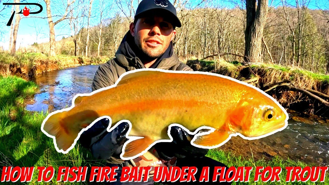 How to Fish Fire Bait Under a Float for Trout