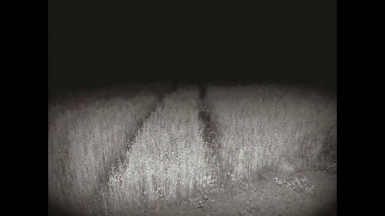 It was a mistake to choose this path...