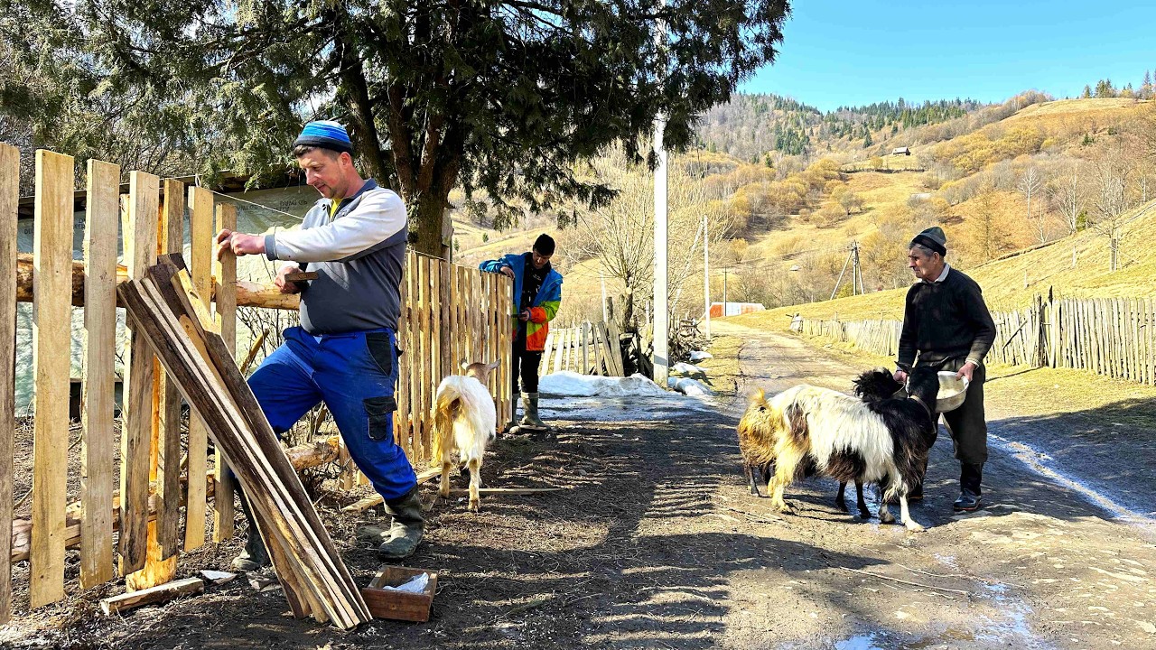Rural Life in the Carpathians | Raft Building, Fried Fish and Rassolnik