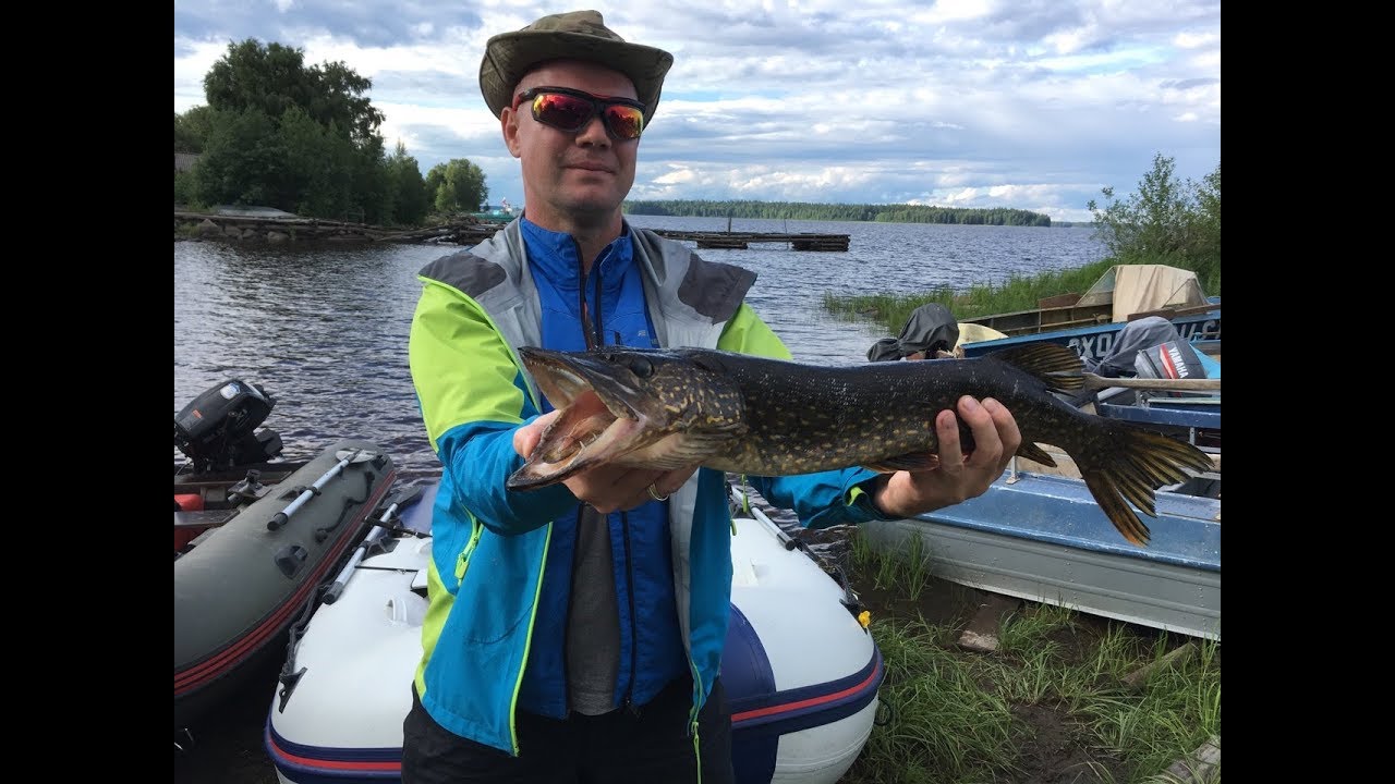 🎣Рыбалка руками на Волге🐠Ловлю»бешеную» рыбу👍🏻