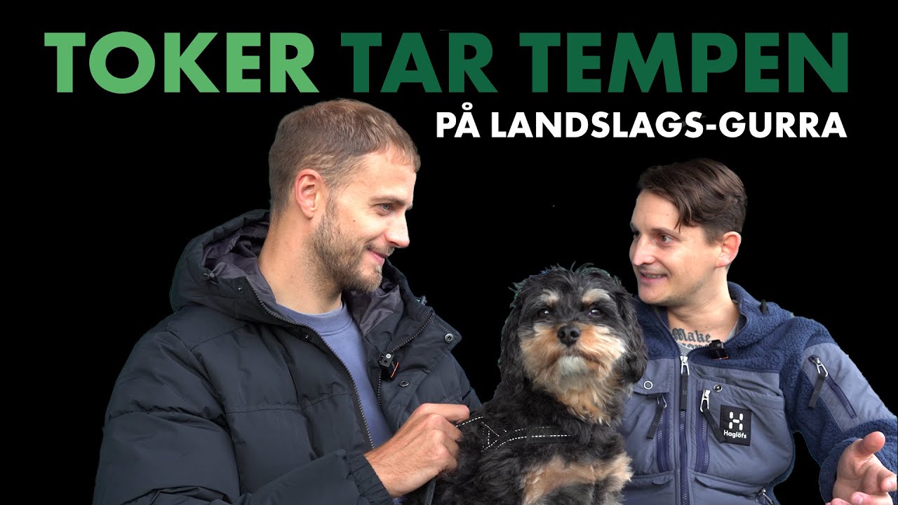 Toker Tar Tempen på landslags-Gurra