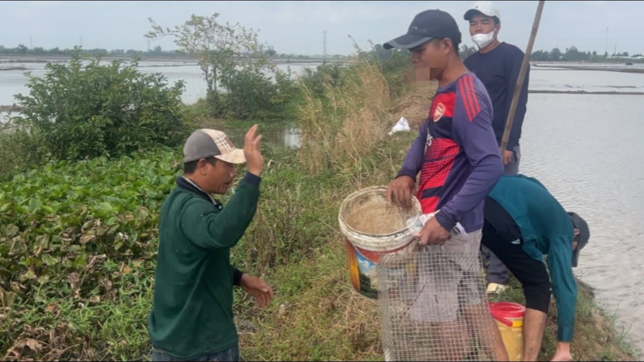 Tem bữa nay chủ nhật được nghỉ nên đi qay ban ngày,đào chuột và mò cá cái kết …