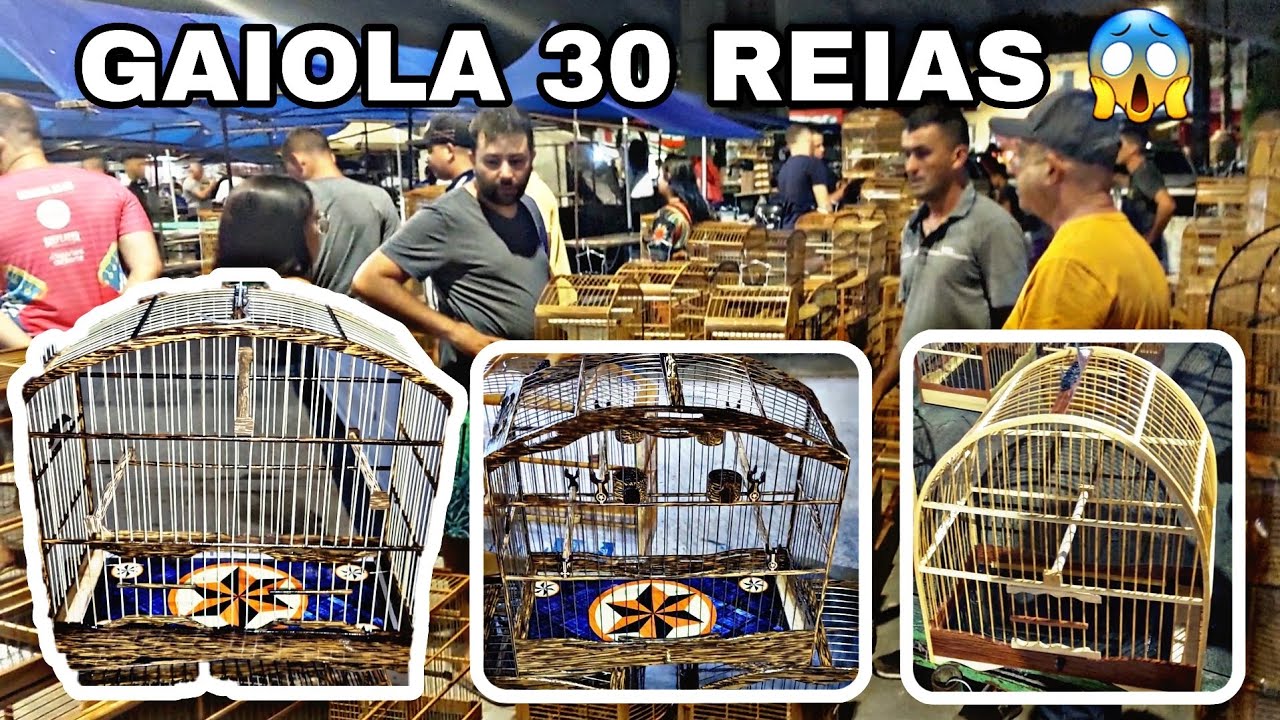 Feira do cordeiro gaiolas 30 reias nunca vi mas barato  impossível
