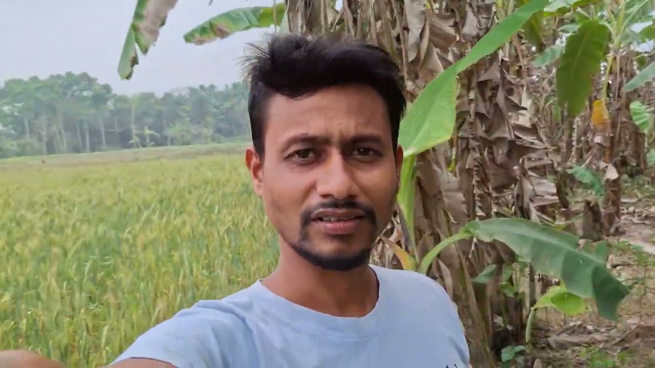 অনেকদিন পর মাঠের সুন্দর দৃশ্য । daily vlog 