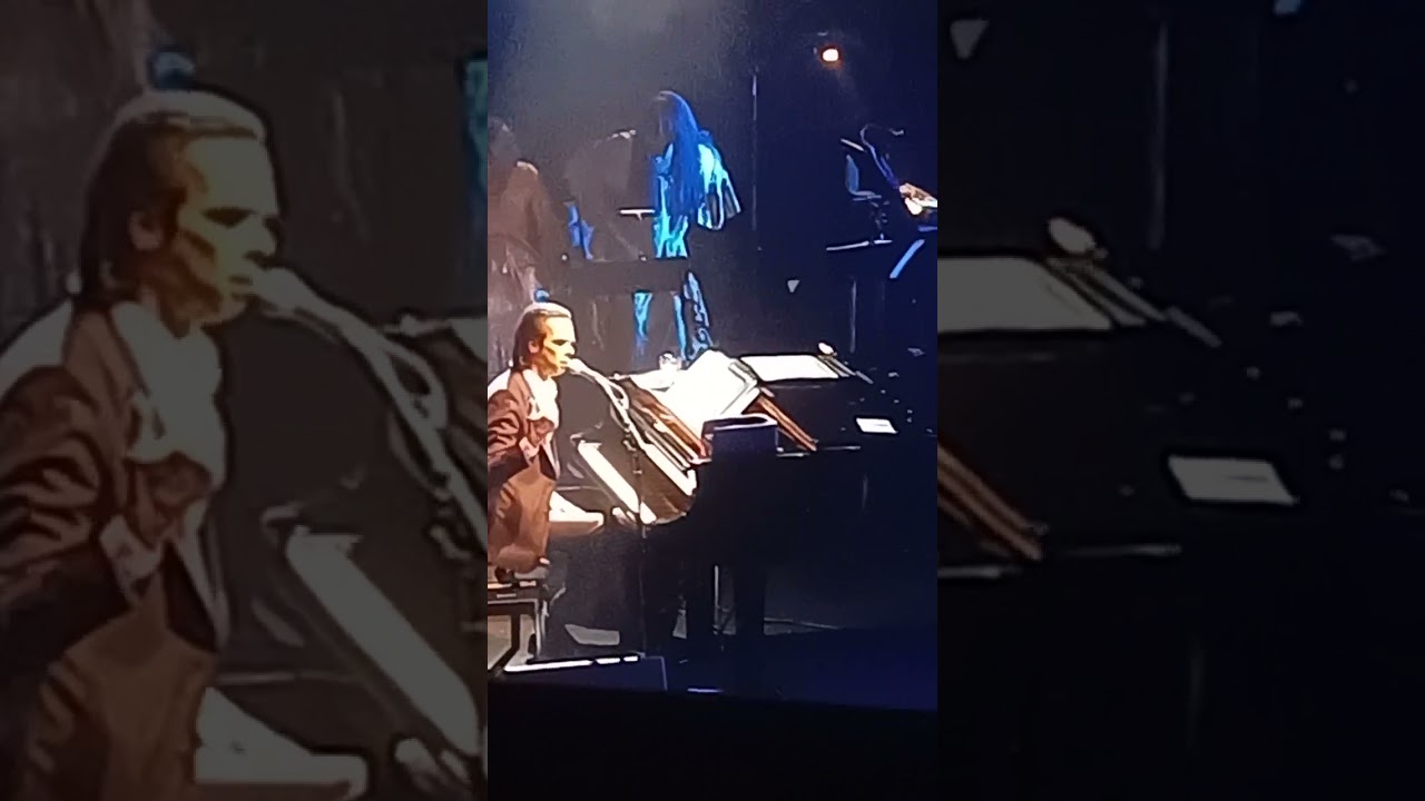 Nick Cave & Warren Ellis. lavender fields & waiting for you. Newcastle Civic Theater. 14.12.22 ❤️