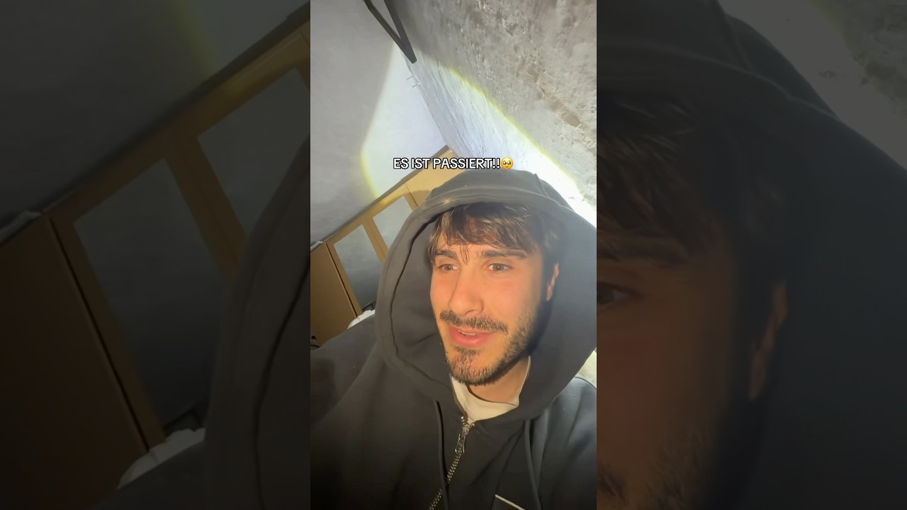 Das erste Katzen Baby ist da!!!🥹😍 #bosnien #katze