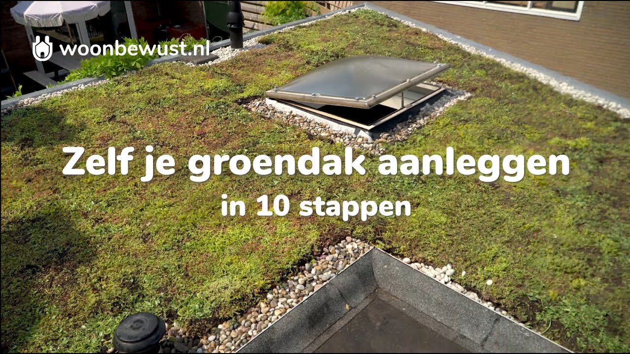 Zelf je groene dak aanleggen in 10 stappen (sedumdak)
