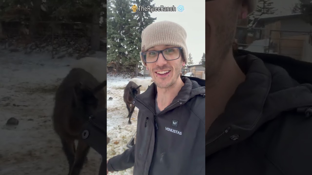 Kalan at The Rylee Ranch: Venustas heated jackets keep us warm in the winter at the farm!