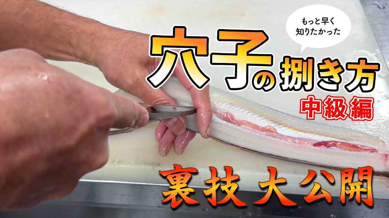 [神捌き伝授します]穴子の捌き方中級編