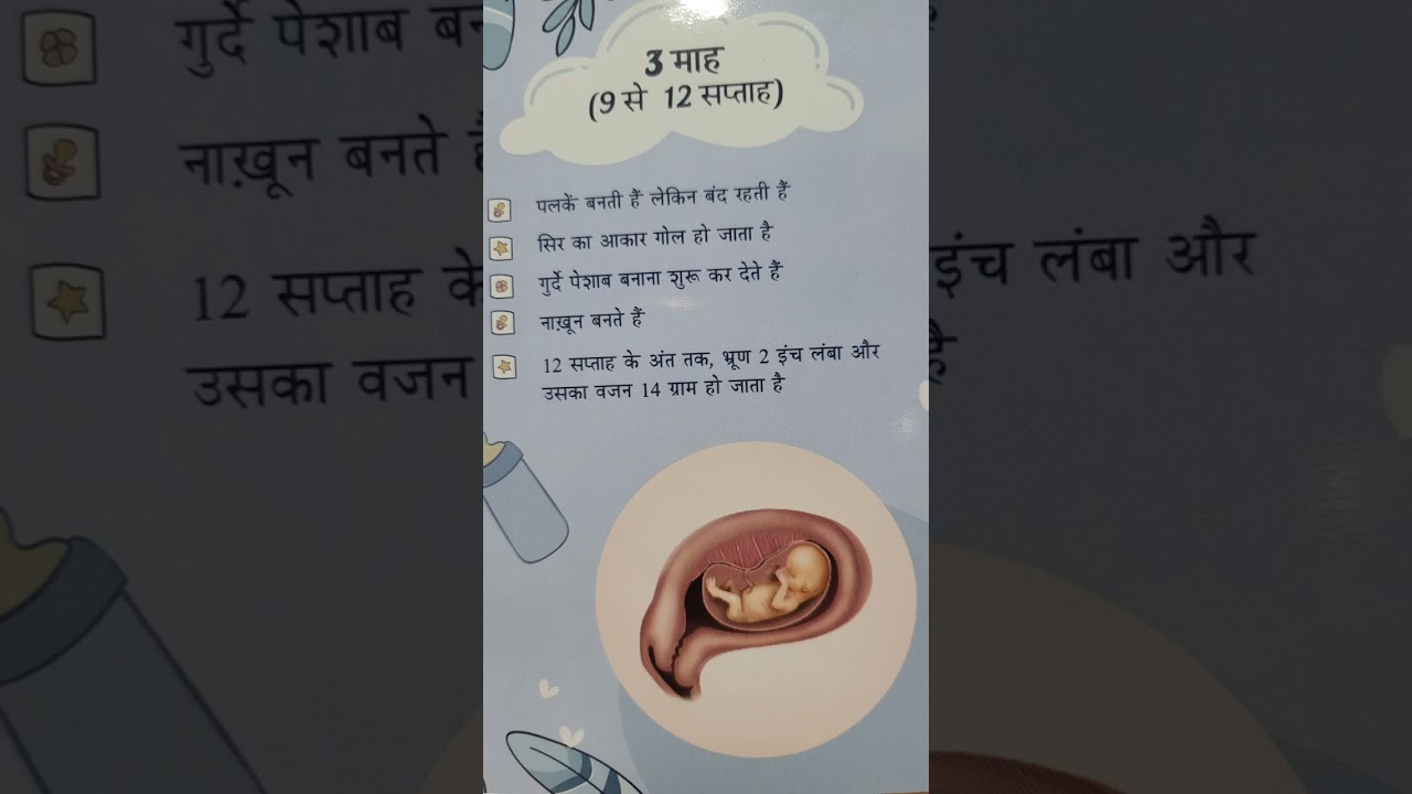 3rd month of pregnancy