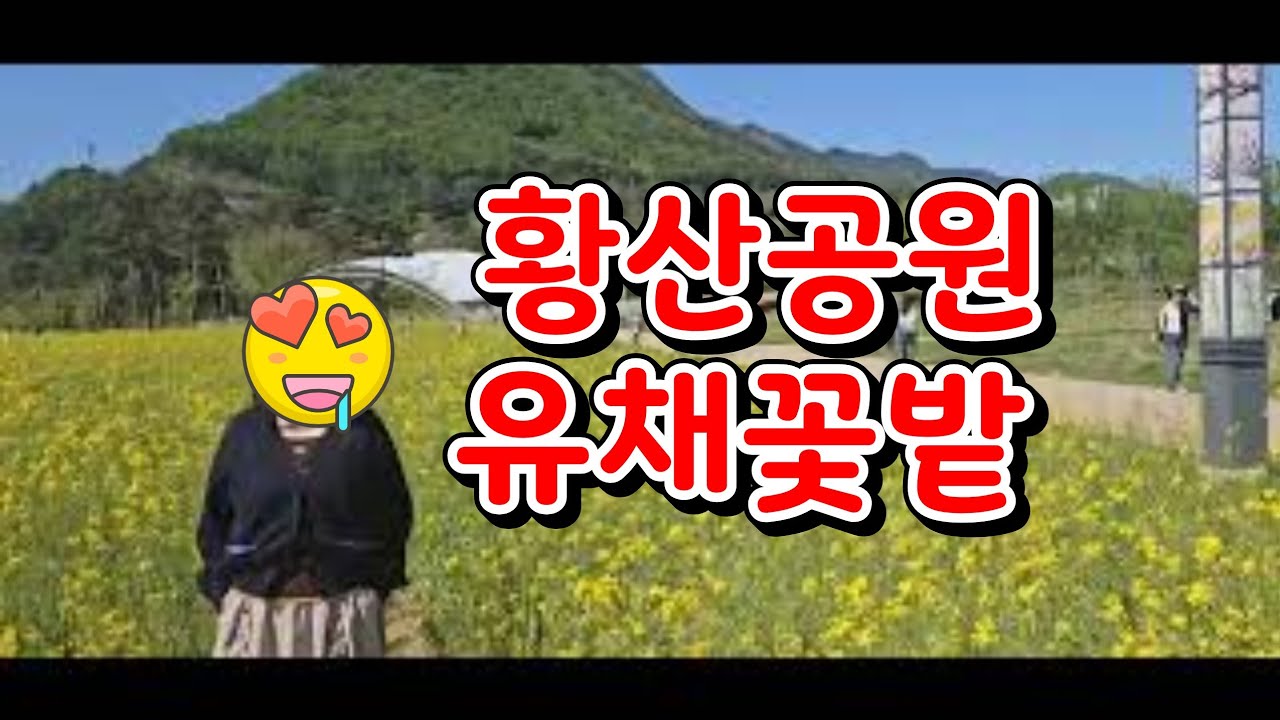 도심속 힐링여행2편 봄나들이하기 좋은날 산책코스 양산시 물금읍 황산공원 시민공원 유채꽃밭 좋아요 봄향기가득 