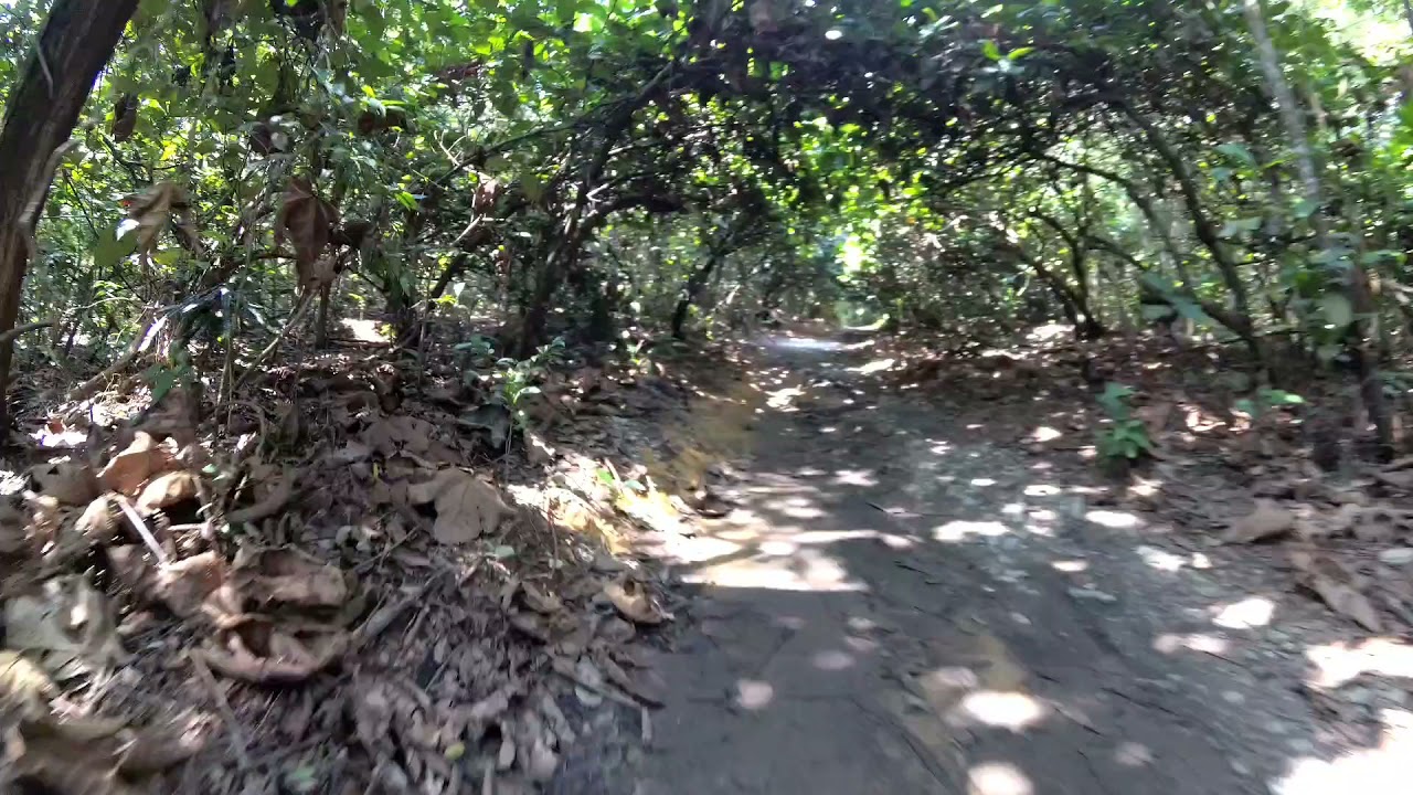 Rockrider ST520 Non Stop Off Road Biking@ Mandai