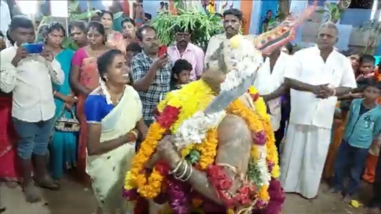 சிவகிரி தாலுகா 'நகரம்' கிராமம்| கோவில் திருவிழா 2022|சாமக்கொடை|Nagaram village|kovil kodai 2022|