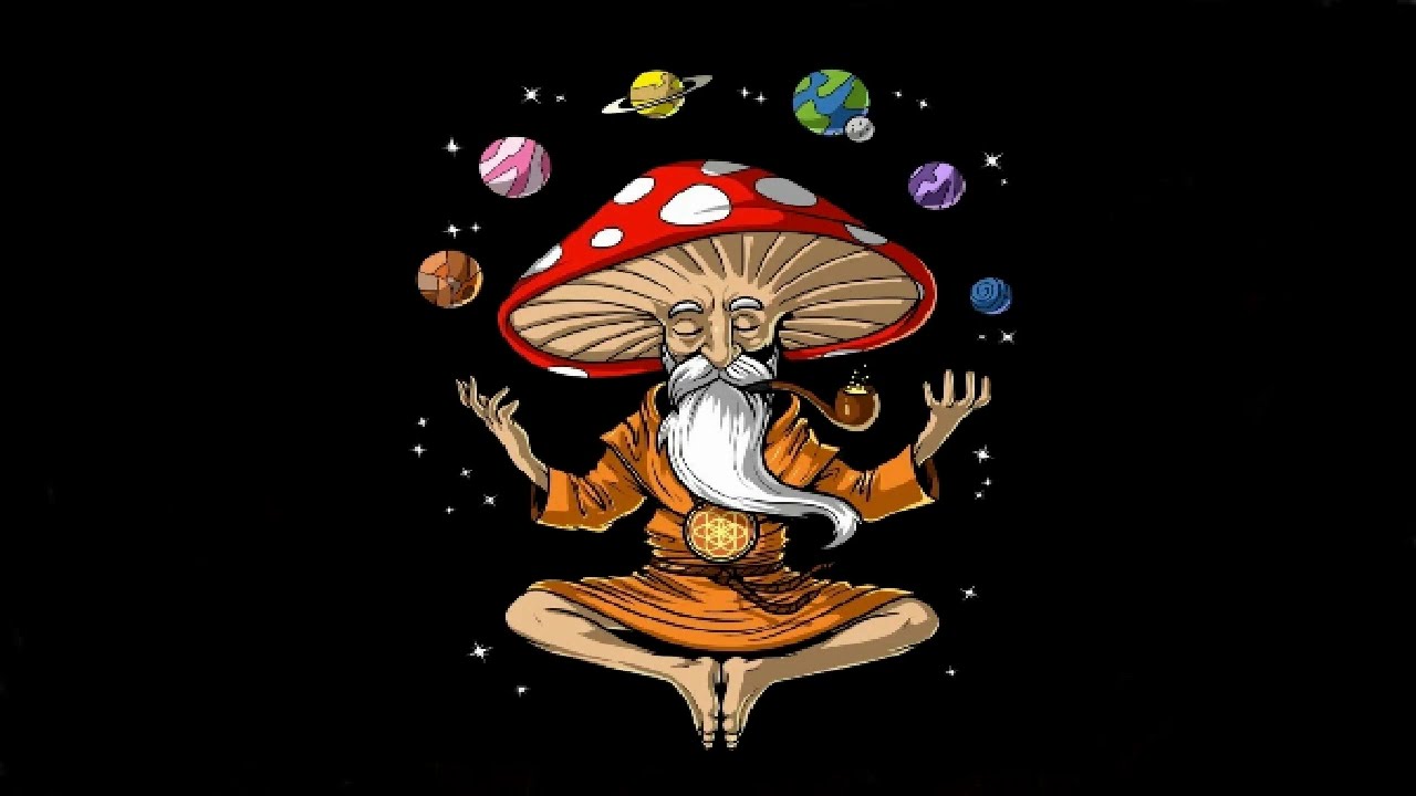 Psychedelic Goa Psytrance @ Meditation 