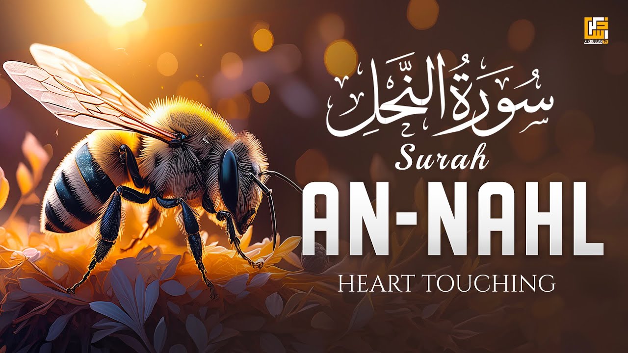 Surah An Nahl - سورة النحل | This VOICE will TOUCH Your Heart إن شاء الله | Zikrullah TV