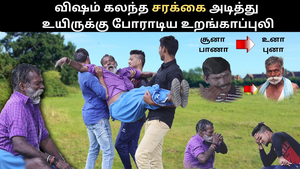 சூனா பாணா வடிவேலு போல்(உனா புனா) உறங்காப்புலிக்கு நடந்த விபரீதம் /vadivelu comedy/vlogz of tamila