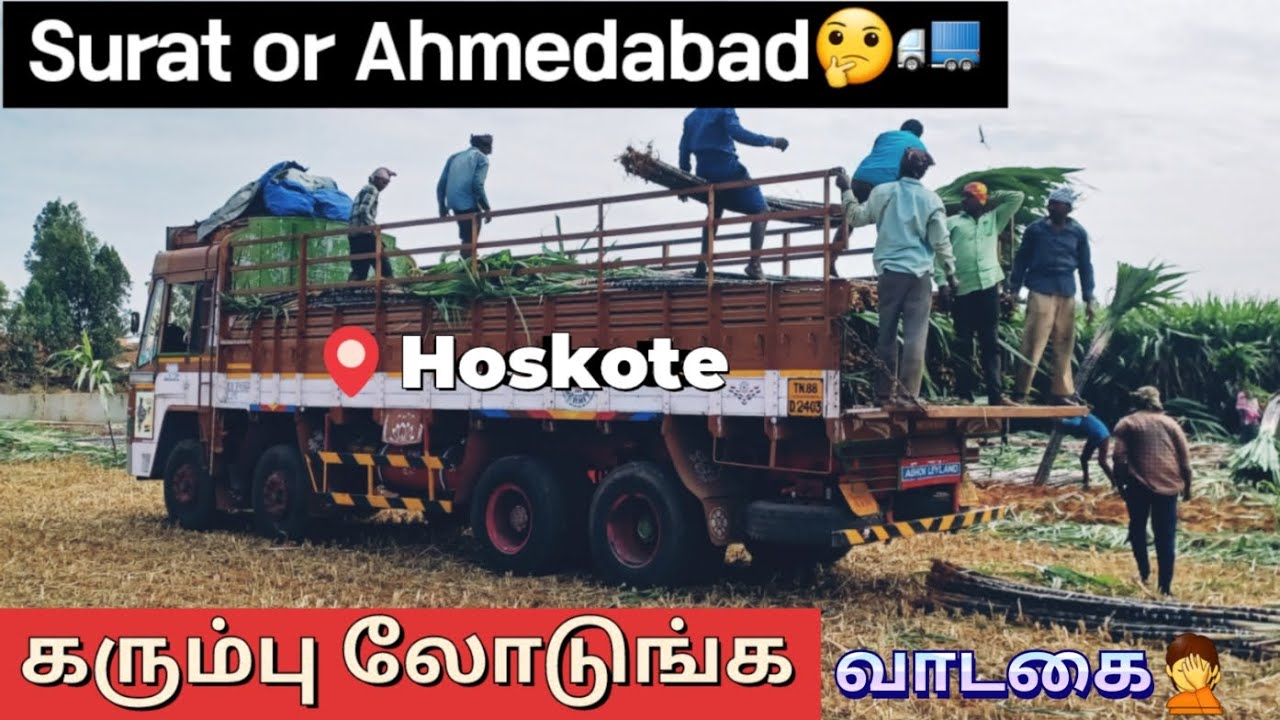 லாரியா இல்ல மாட்டுவண்டியா🤦🚛||பொங்கலுக்கு Gujarat-க்கு கரும்பு ஏற்றலாம் வாங்க🤩🇮🇳#ttvfamily