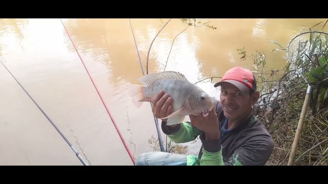 Pescaria 2026 começou com tudo.  Q Deus abençoa a todos nós.  Pescaria de tilapia 