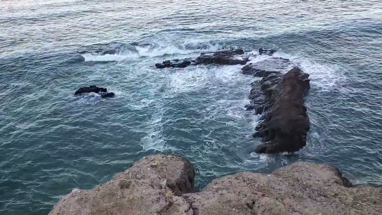 La pesca de mojarras en los acantilados pesca en altura 😱🔥🎣 #pesca #fishing 