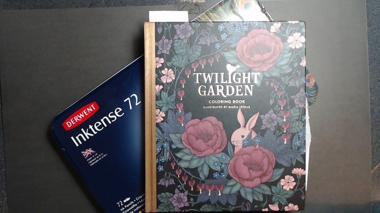 It MUST be a Coloring Sunday - Color and Chat with CLAldridgeArt in Twilight Garden w/Inktense