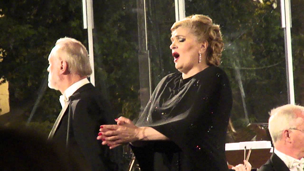 Elisabete Matos Vissi d'arte
