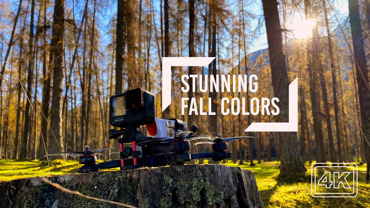 Stuning flight through a Autumn Forest - 5K Drone Movie
