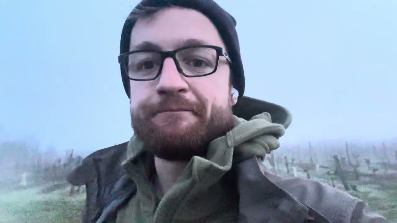 First week on a pro truffle orchard in France 
