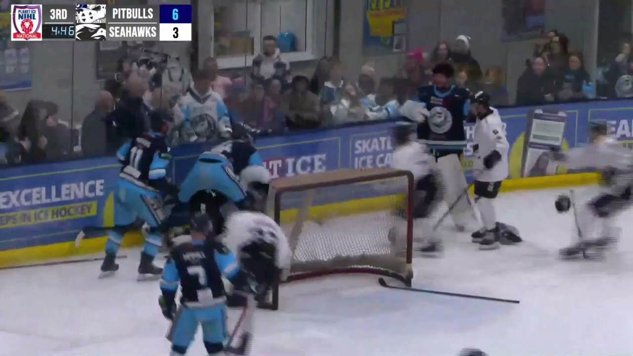 Bristol Pitbulls vs Hull Seahawks Brawl / Abandoned Game NIHL 23-3-25