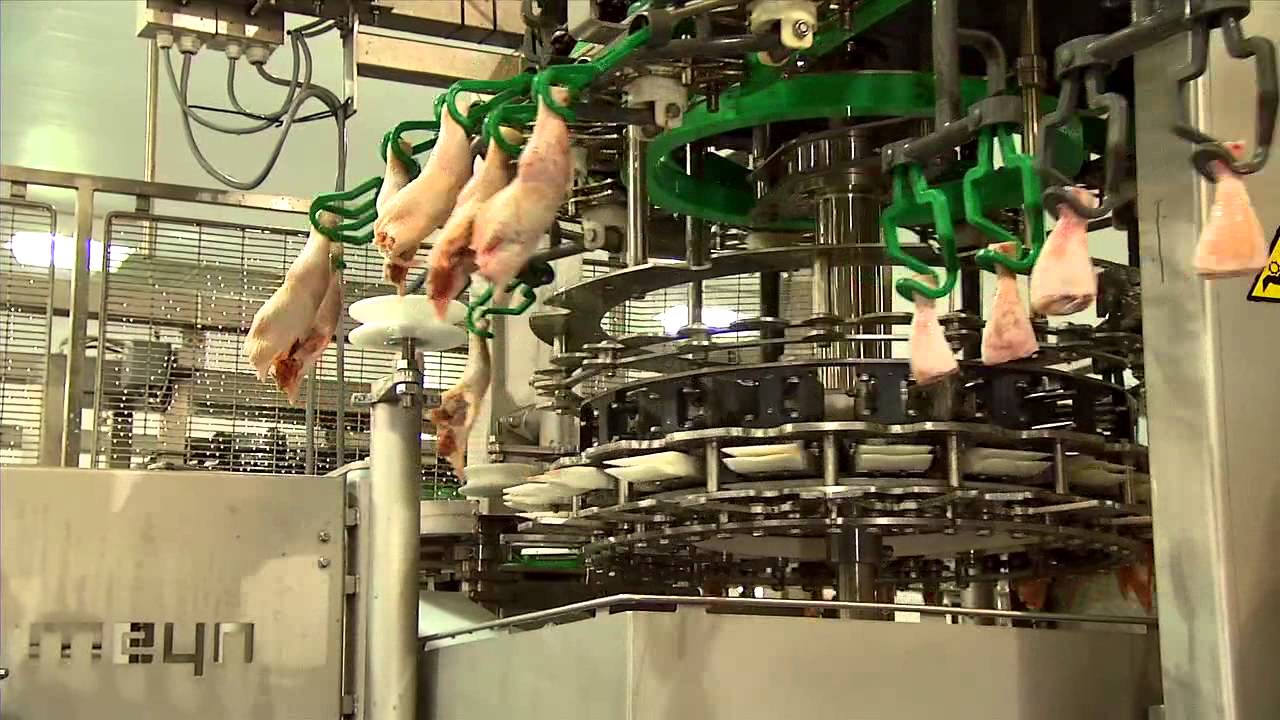 Meyn® Drum Thigh separator
