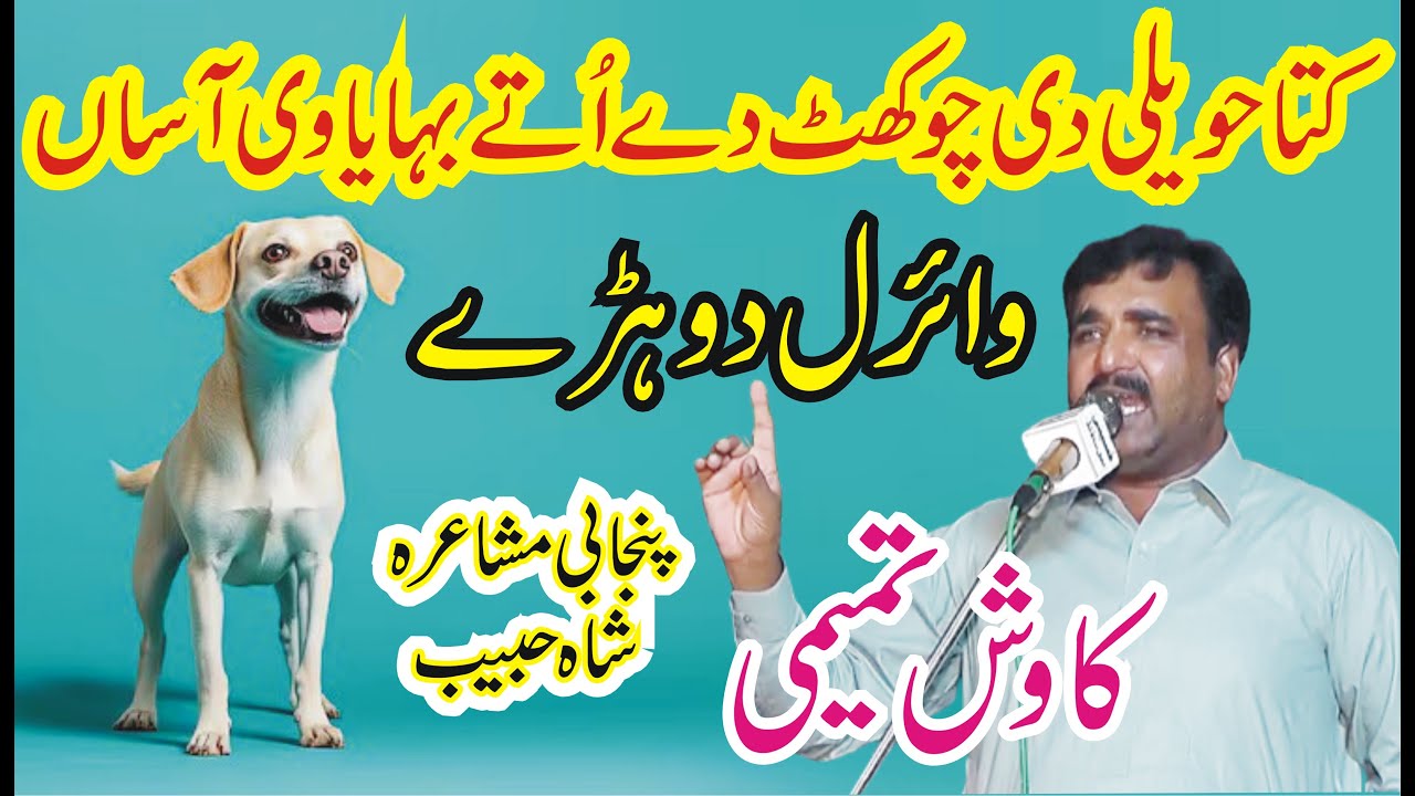 Kuta Hawaili di Chokhat New Dohra Kawish Tamimi || Punjabi Mushaira Shah Habib || ANW Studio ||