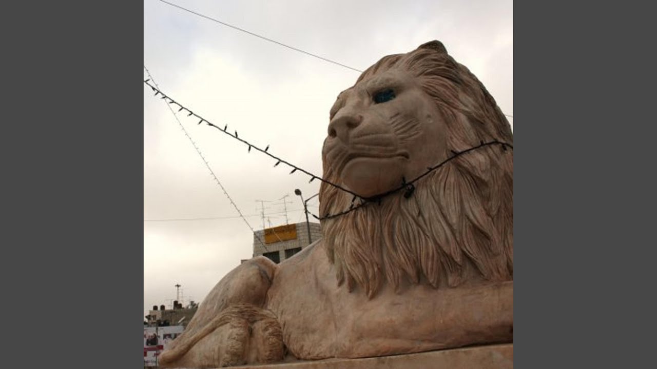 بشوفك بالبلد