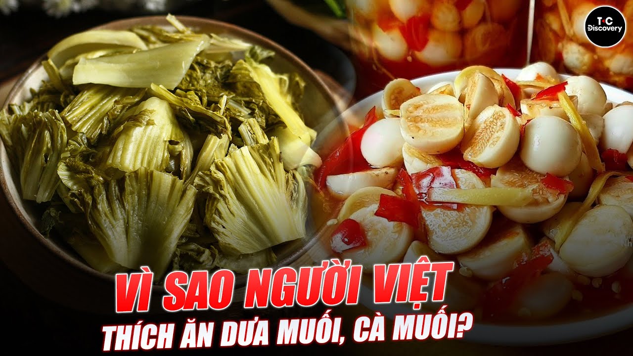 VÌ SAO NGƯỜI VIỆT THÍCH ĂN DƯA MUỐI, CÀ MUỐI? T Connect - Discovery