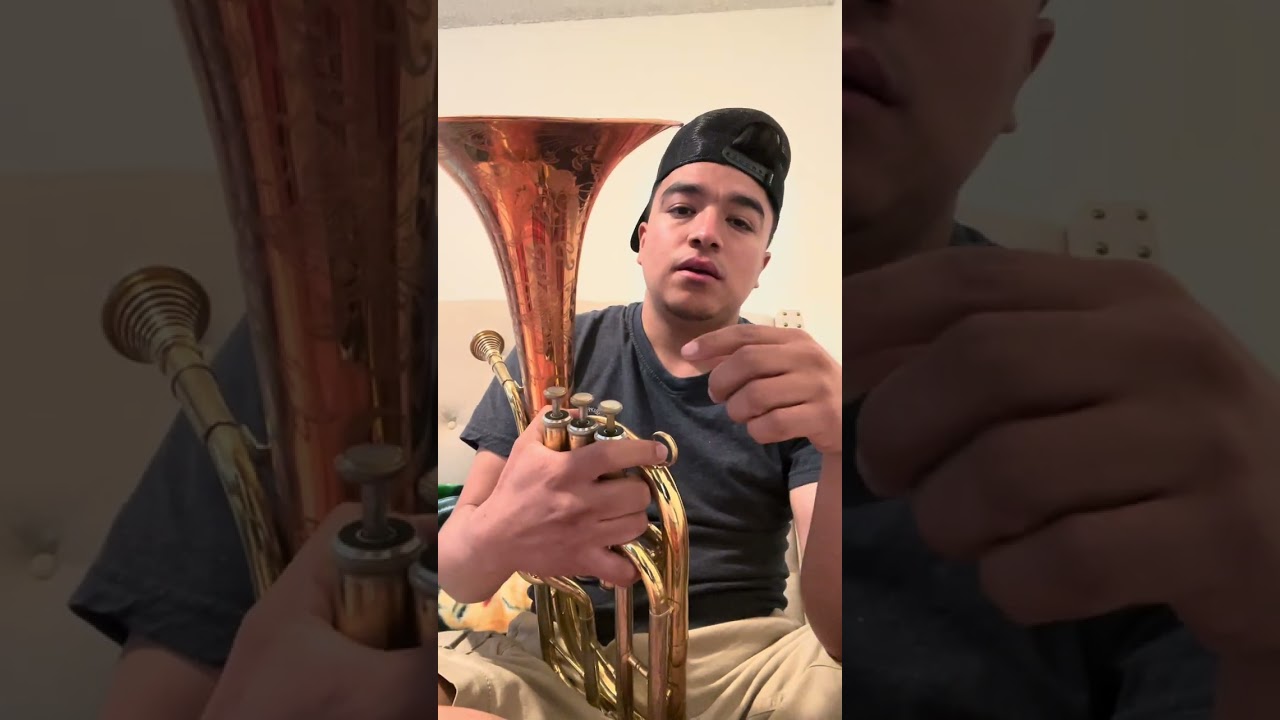 El son de la Cuichi 🔥 TUTORIAL 🎶 Armonía 