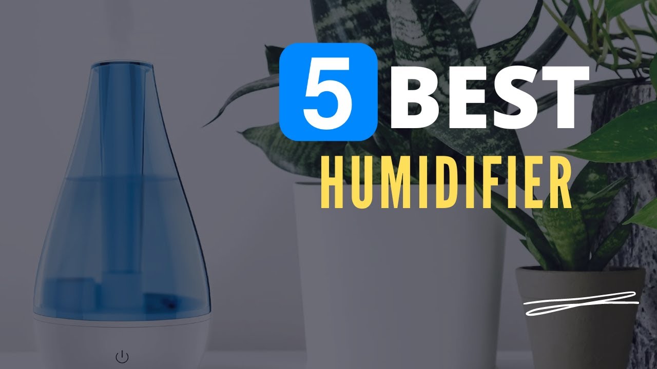 ⭕ Top 5 Best Humidifier 2022 [Review and Guide]