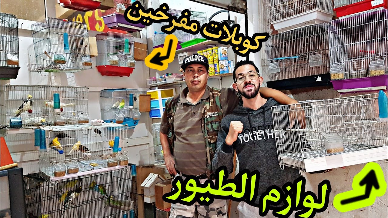 (حكاية مولوع2) جميع لوازم الطيور عند خويا صلاح😯،( جويجات مفرخين/طفرات)الله يدير الخير(التخربيق🤣🤣)