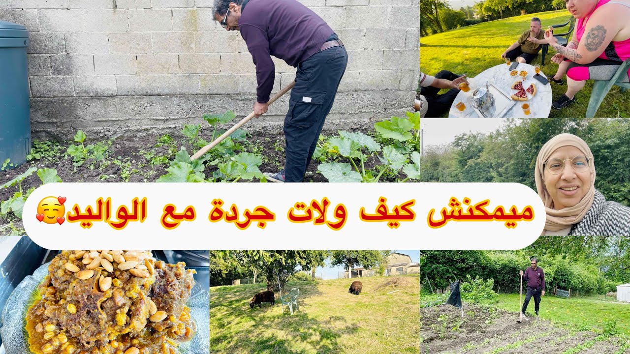 وأخيرا واليد نظم الجردة🥰وخا خلعتهم مساكن في نصاص ليل الله يسمح ليامنهم😔